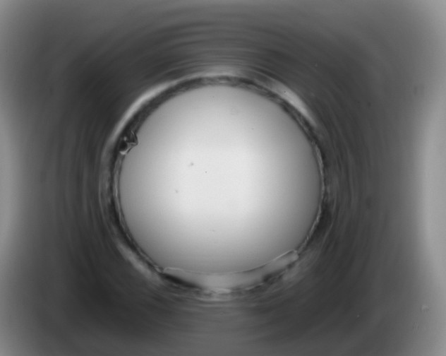 X0000084001116200703091900