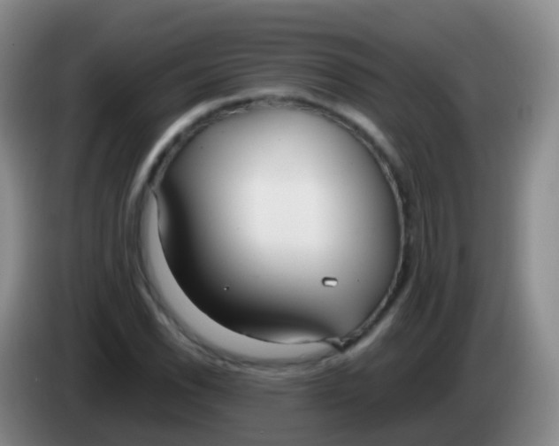 X0000084001118200703091900