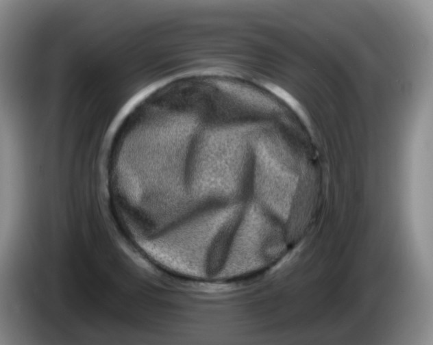 X0000084001120200703091900
