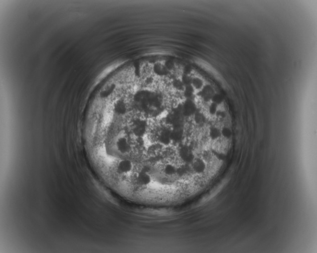 X0000084001121200703091900