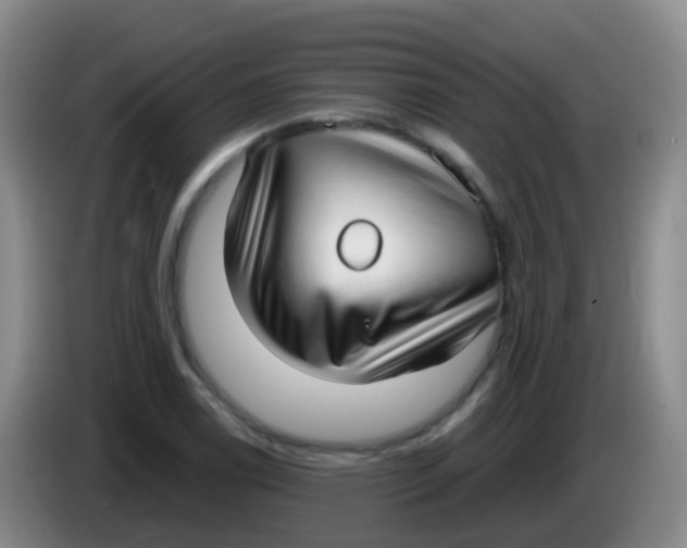 X0000084001122200703091900