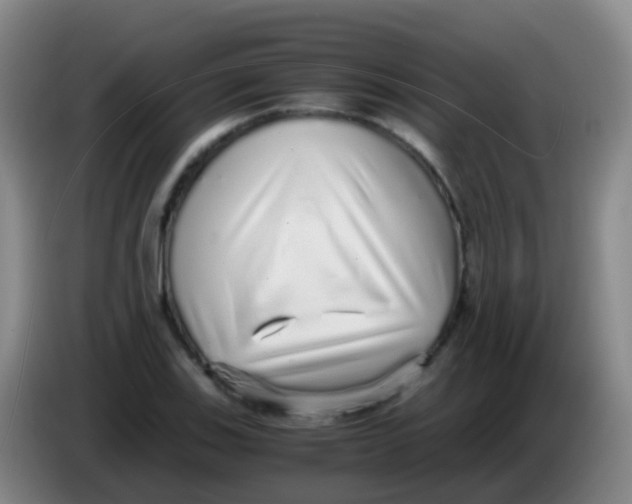 X0000084001123200703091900