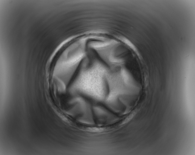 X0000084001124200703091900