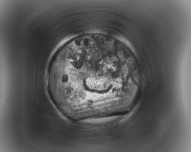 X0000084001125200703091900