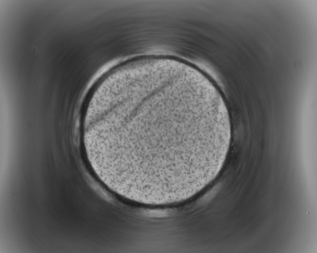 X0000084001126200703091900