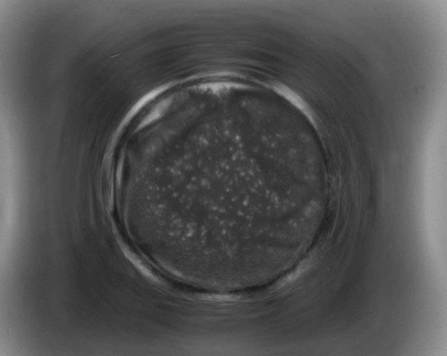 X0000084001127200703091900
