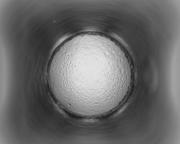 X0000084001129200703091900