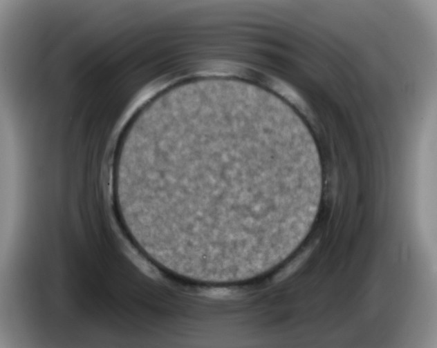 X0000084001130200703091900
