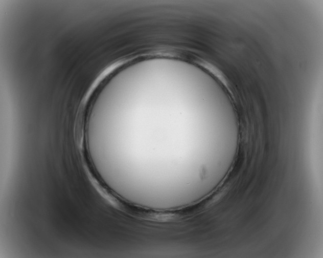 X0000084001131200703091900