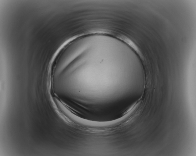 X0000084001132200703091900