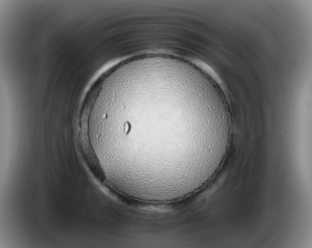 X0000084001133200703091900