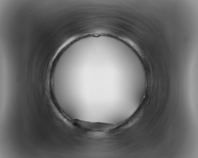 X0000084001134200703091900