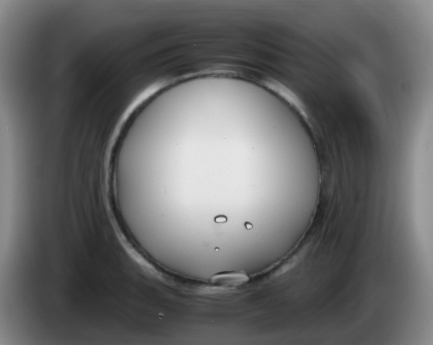 X0000084001135200703091900