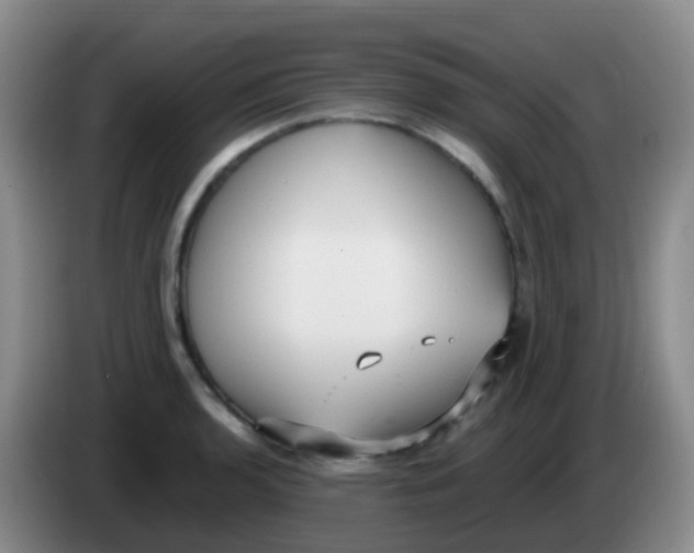 X0000084001136200703091900