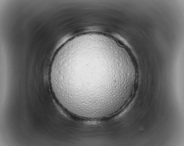 X0000084001137200703091900