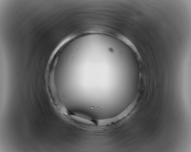 X0000084001138200703091900