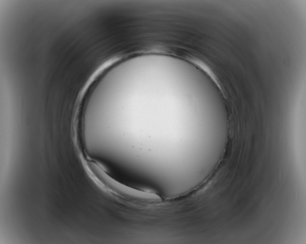 X0000084001139200703091900