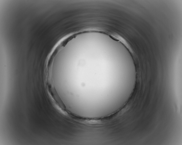X0000084001140200703091900