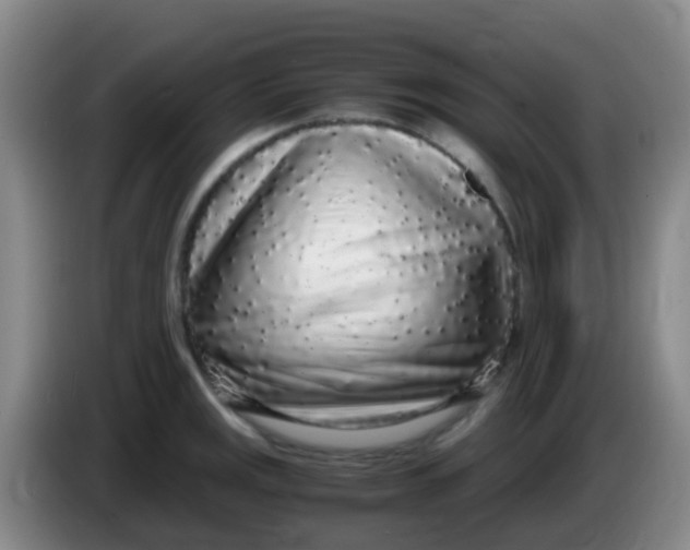 X0000084001141200703091900
