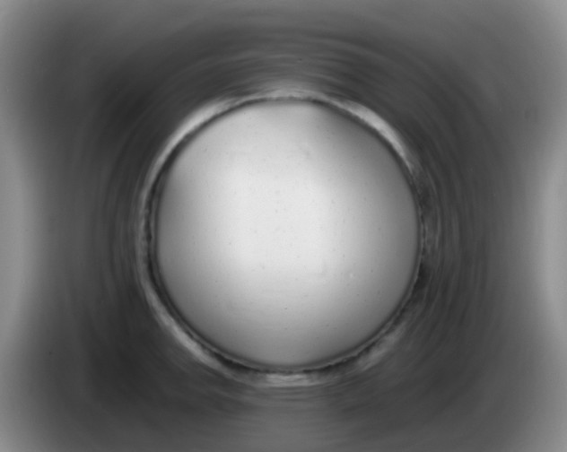 X0000084001142200703091900