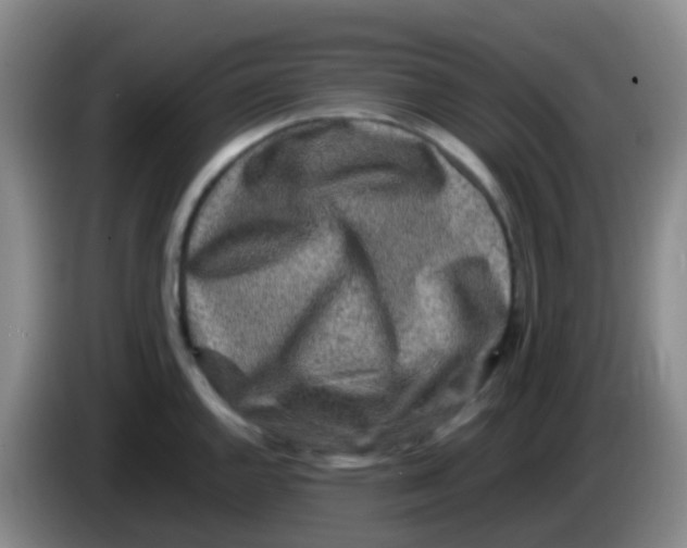 X0000084001144200703091900