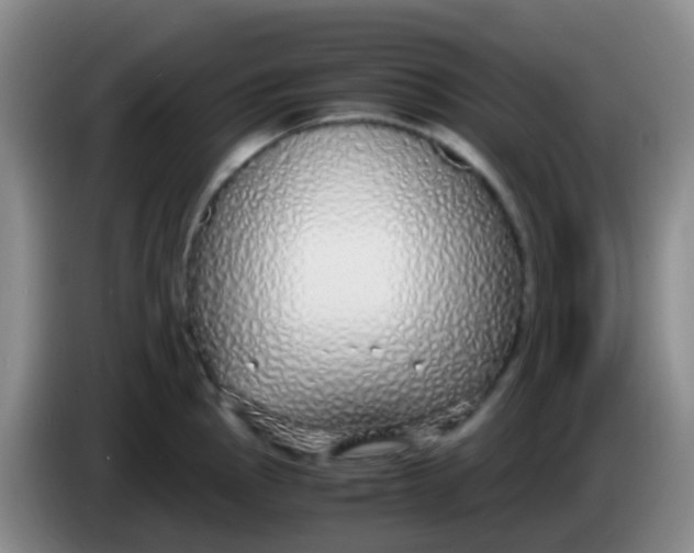 X0000084001145200703091900