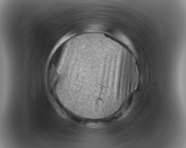 X0000084001146200703091901