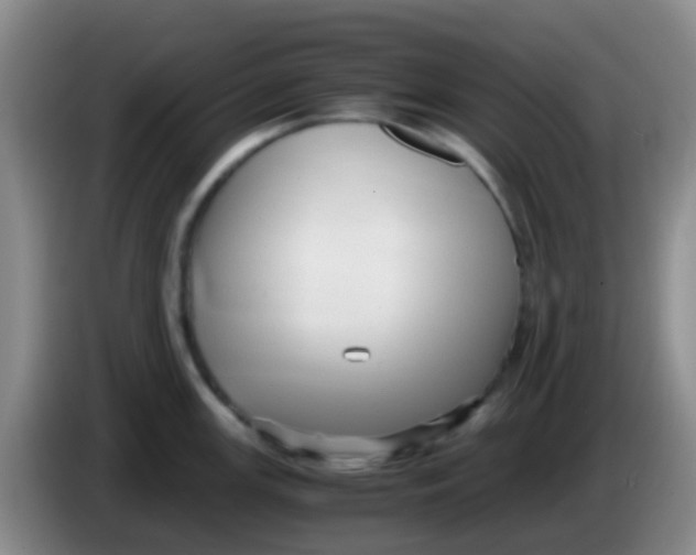 X0000084001147200703091901