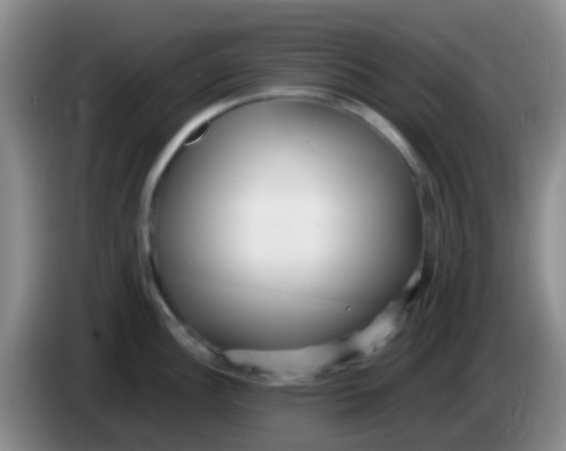X0000084001148200703091901