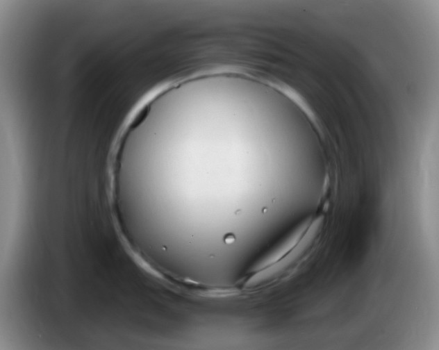 X0000084001151200703091901