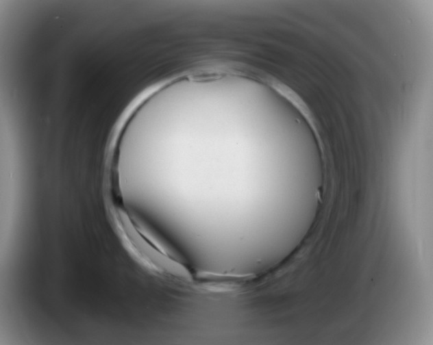 X0000084001152200703091901