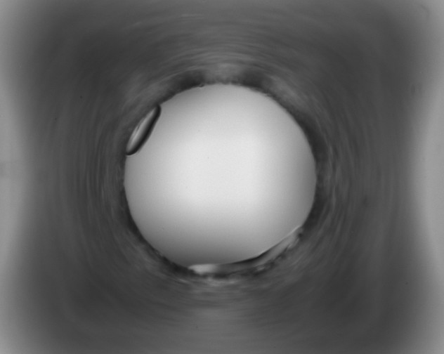 X0000084001153200703091900