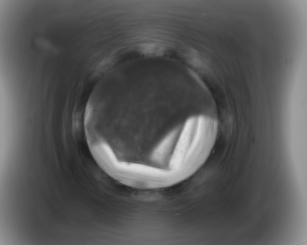X0000084001154200703091900