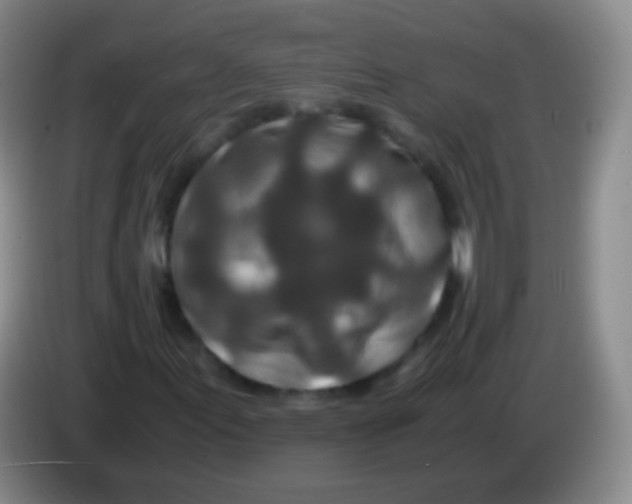 X0000084001155200703091900