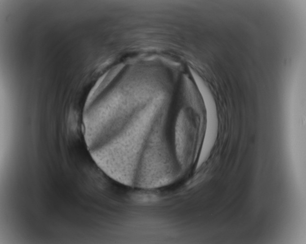 X0000084001156200703091900