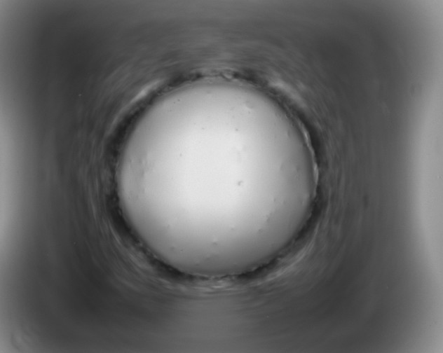 X0000084001159200703091900
