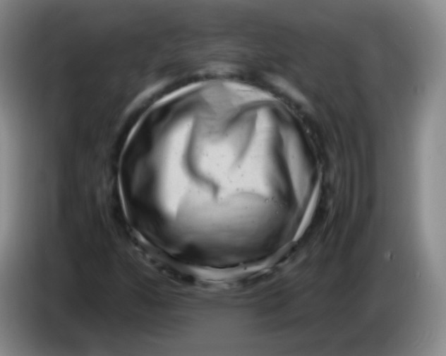 X0000084001160200703091900