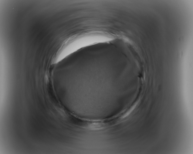 X0000084001161200703091900