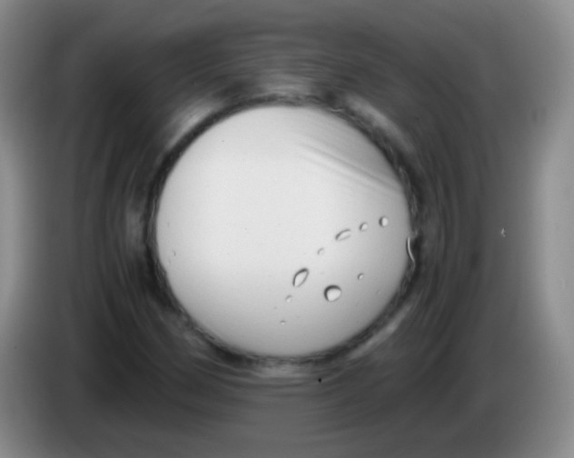 X0000084001162200703091900