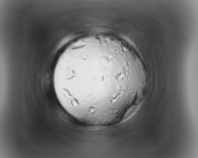 X0000084001163200703091900