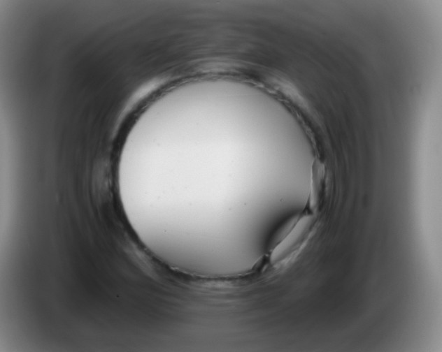 X0000084001164200703091900
