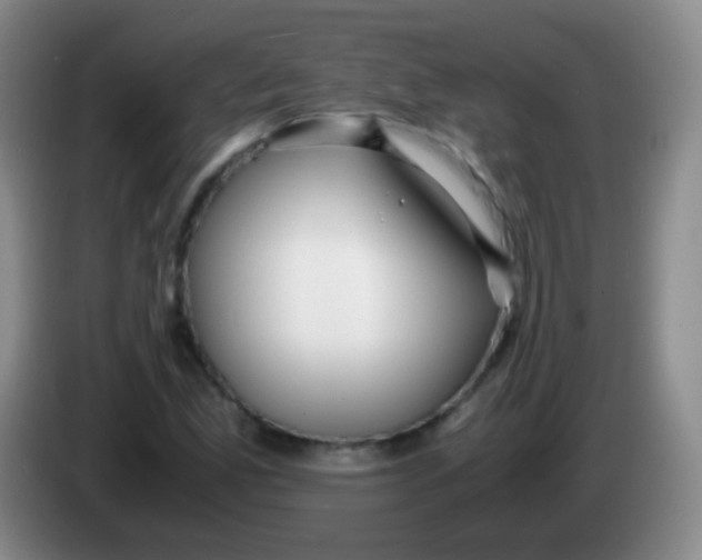 X0000084001165200703091900