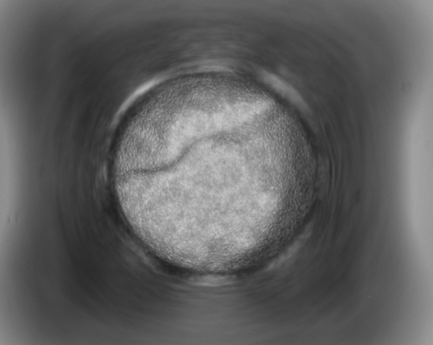 X0000084001166200703091900