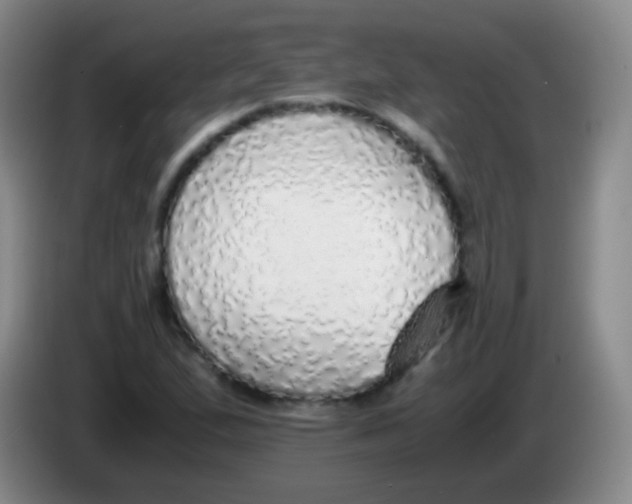 X0000084001167200703091900