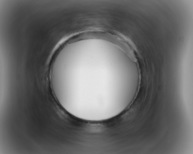 X0000084001168200703091900