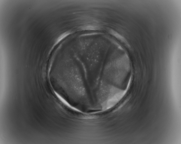 X0000084001170200703091900