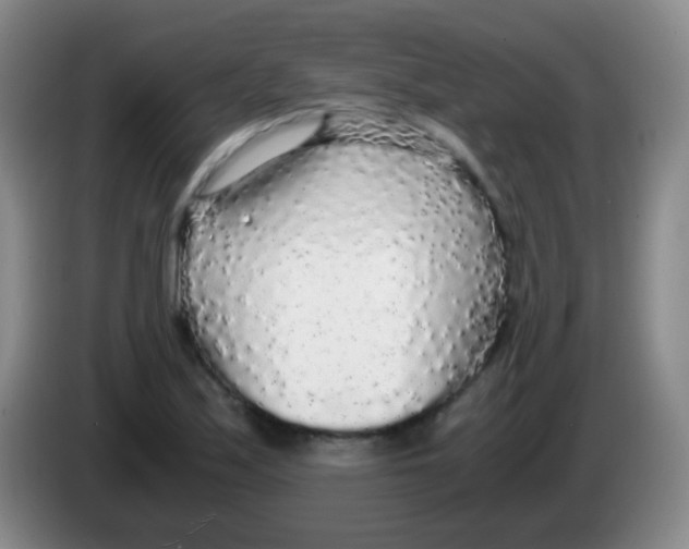 X0000084001171200703091900