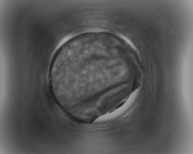 X0000084001173200703091900