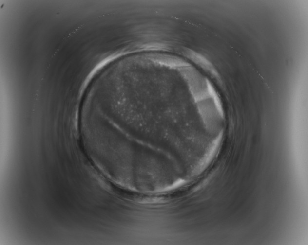 X0000084001174200703091900