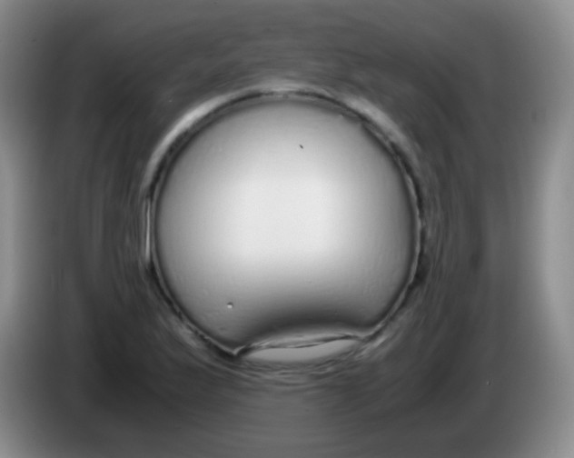 X0000084001175200703091900